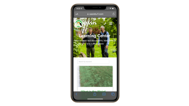 Oasis - lawn care blog